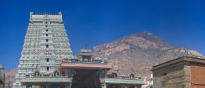 Temple Tiruvannamalai