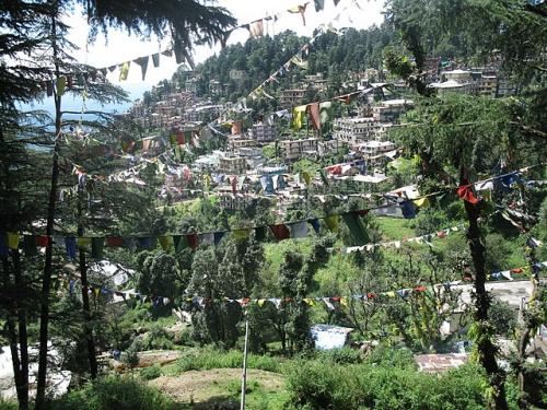 A la rencontre du sacré tibétain - Dharamsala - La "petite Lassa", terre d'accueil du Dalaï Lama